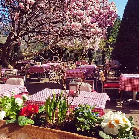 Restaurant Aux Sapins Otel