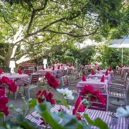 Otel Restaurant Aux Sapins 2*