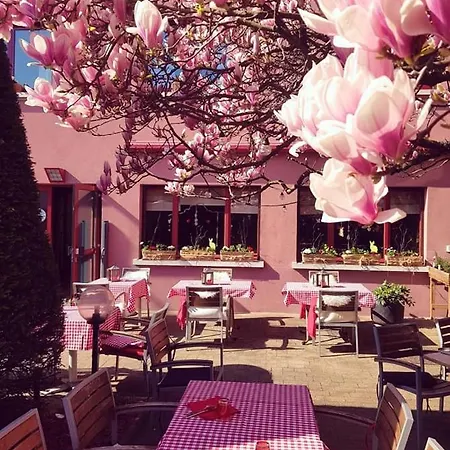 Restaurant Aux Sapins Hotel Thann