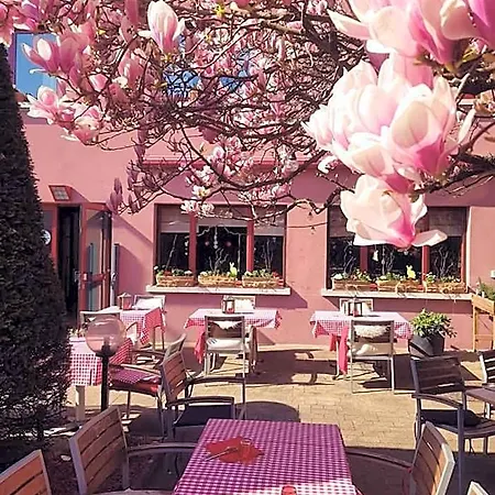 Restaurant Aux Sapins Thann