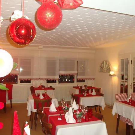 Otel Restaurant Aux Sapins Thann